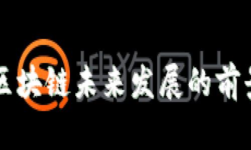 满币网区块链未来发展的前景与挑战