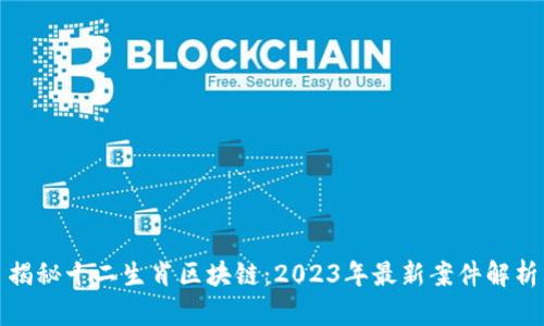 揭秘十二生肖区块链：2023年最新案件解析